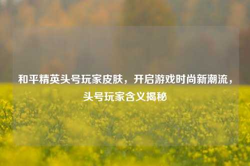 和平精英头号玩家皮肤,开启游戏时尚新潮流,头号玩家含义揭秘
