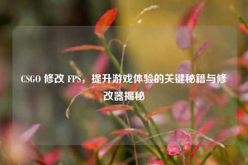 CSGO 修改 FPS,提升游戏体验的关键秘籍与修改器揭秘