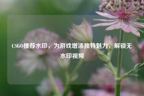 CSGO推荐水印,为游戏增添独特魅力,解锁无水印视频
