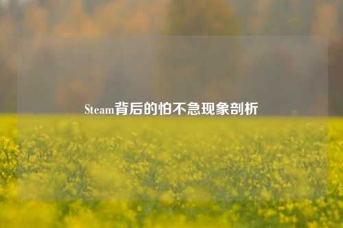 Steam背后的怕不急现象剖析