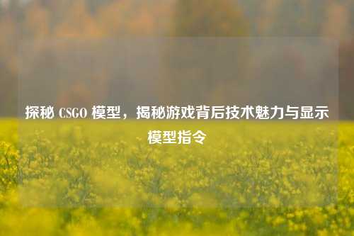 探秘 CSGO 模型,揭秘游戏背后技术魅力与显示模型指令