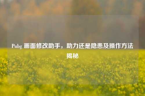 Pubg 画面修改助手,助力还是隐患及操作 揭秘