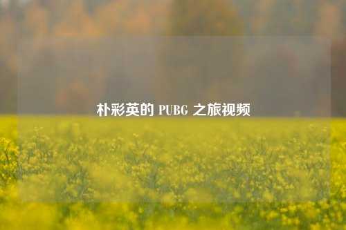 朴彩英的 PUBG 之旅视频