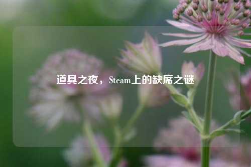 道具之夜,Steam上的缺席之谜