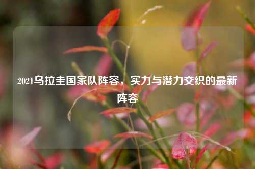 2021乌拉圭国家队阵容,实力与潜力交织的最新阵容