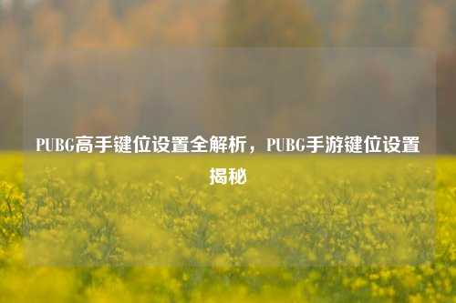 PUBG高手键位设置全解析,PUBG手游键位设置揭秘