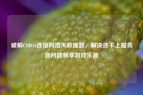 破解COD16连接 失败难题,解决连不上服务器问题畅享游戏乐趣