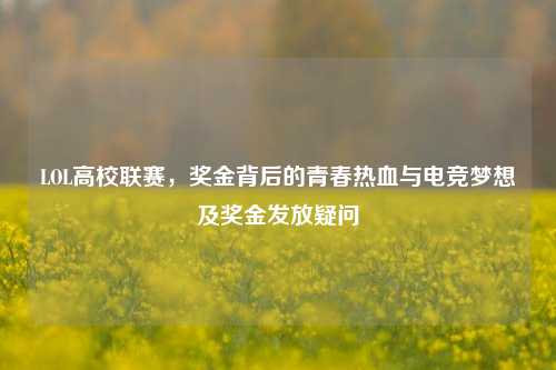 LOL高校联赛,奖金背后的青春热血与电竞梦想及奖金发放疑问