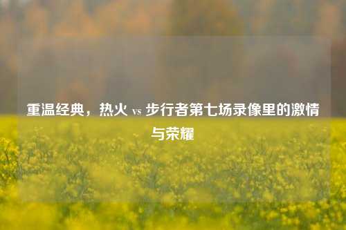 重温经典,热火 vs 步行者第七场录像里的***与荣耀