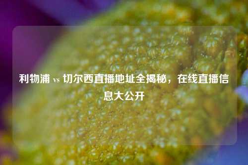 利物浦 vs 切尔西直播地址全揭秘,在线直播信息大公开