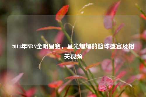 2014年NBA全明星赛,星光熠熠的篮球盛宴及相关视频