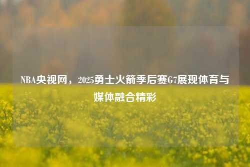 NBA央视网,2025勇士火箭季后赛G7展现体育与媒体融合精彩