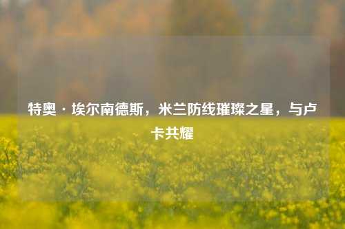 特奥·埃尔南德斯,米兰防线璀璨之星,与卢卡共耀