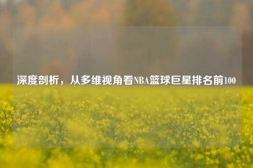 深度剖析,从多维视角看NBA篮球巨星排名前100