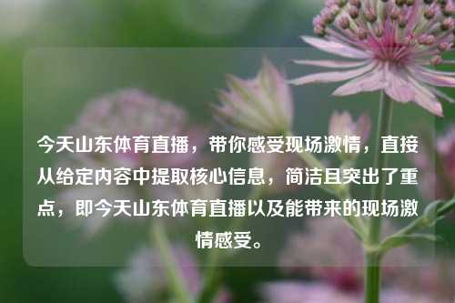 今天山东体育直播,带你感受现场***,直接从给定内容中提取核心信息,简洁且突出了重点,即今天山东体育直播以及能带来的现场***感受。
