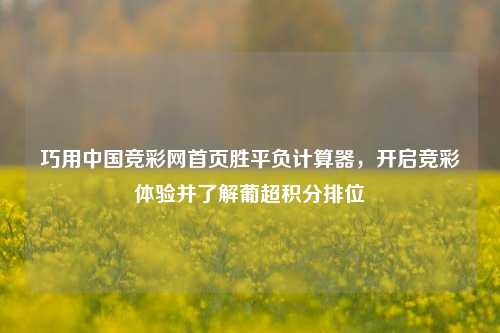 巧用中国竞彩网首页胜平负计算器,开启竞彩体验并了解葡超积分排位
