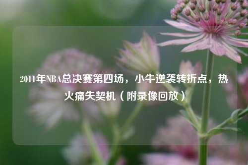 2011年NBA总决赛第四场,小牛逆袭转折点,热火痛失契机(附录像回放)