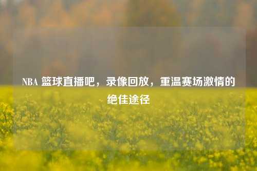 NBA 篮球直播吧,录像回放,重温赛场***的绝佳途径