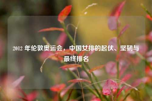 2012 年伦敦奥运会,中国女排的起伏、坚韧与最终排名