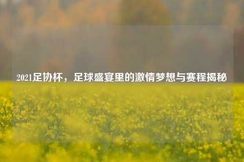 2021足协杯,足球盛宴里的***梦想与赛程揭秘