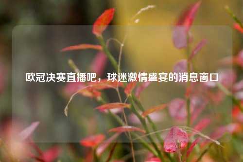 欧冠决赛直播吧,球迷***盛宴的消息窗口