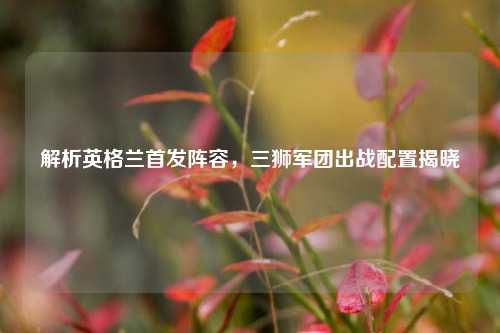 解析英格兰首发阵容,三狮军团出战配置揭晓