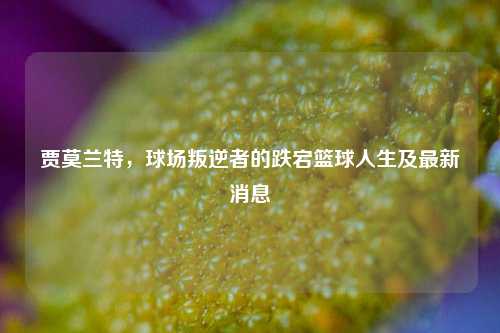 贾莫兰特,球场叛逆者的跌宕篮球人生及最新消息