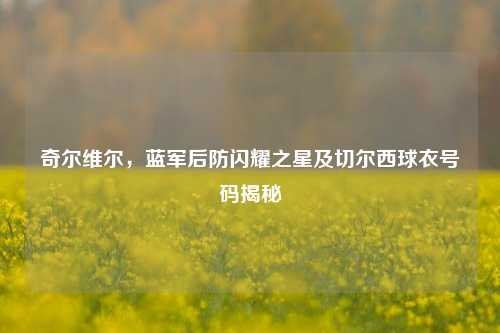 奇尔维尔,蓝军后防闪耀之星及切尔西球衣号码揭秘