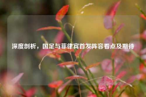深度剖析,国足与菲律宾首发阵容看点及期待