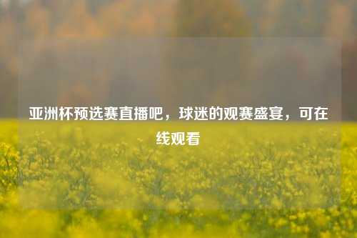 亚洲杯预选赛直播吧,球迷的观赛盛宴,可在线观看