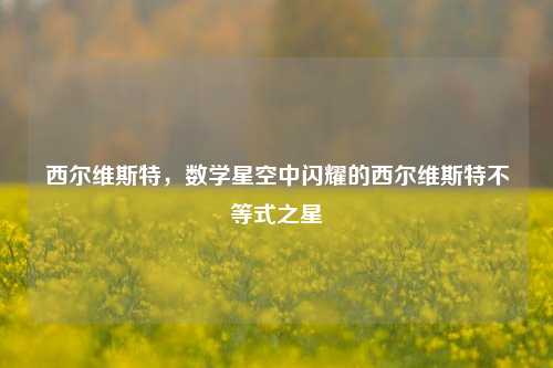 西尔维斯特,数学星空中闪耀的西尔维斯特不等式之星