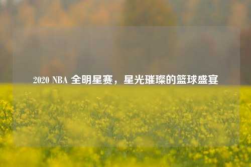 2020 NBA 全明星赛,星光璀璨的篮球盛宴