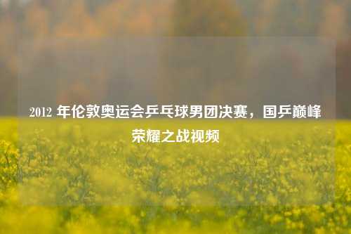 2012 年伦敦奥运会乒乓球男团决赛,国乒巅峰荣耀之战视频