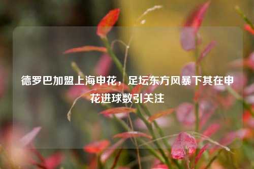 德罗巴加盟上海申花,足坛东方风暴下其在申花进球数引关注