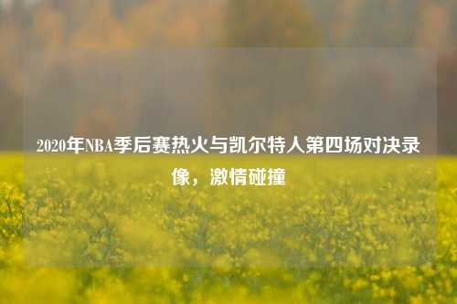 2020年NBA季后赛热火与凯尔特人第四场对决录像,***碰撞