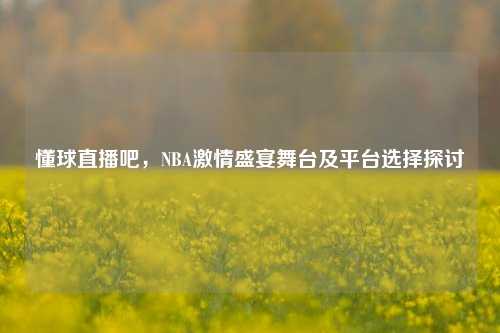 懂球直播吧,NBA***盛宴舞台及平台选择探讨