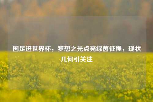 国足进世界杯,梦想之光点亮绿茵征程,现状几何引关注