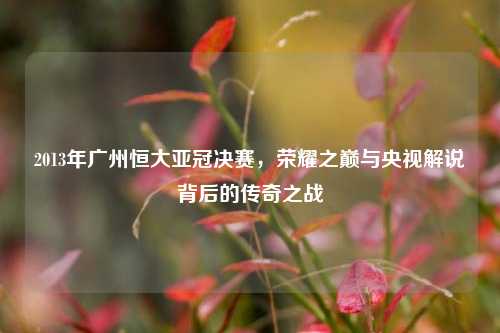 2013年广州恒大亚冠决赛,荣耀之巅与央视解说背后的传奇之战
