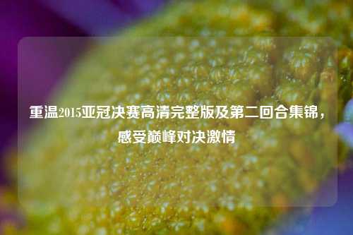 重温2015亚冠决赛高清完整版及第二回合集锦,感受巅峰对决***