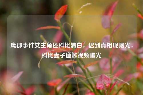 鹰郡事件女主角还科比清白,迟到真相现曙光,科比妻子道歉视频曝光