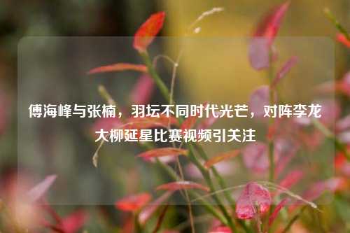 傅海峰与张楠,羽坛不同时代光芒,对阵李龙大柳延星比赛视频引关注