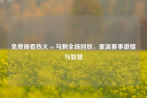 免费观看热火 vs 马刺全场回放,重温赛事***与智慧