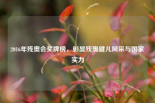 2016年残奥会奖牌榜,彰显残奥健儿风采与国家实力