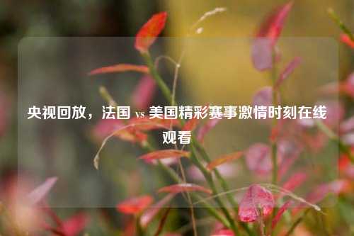 央视回放,法国 vs 美国精彩赛事***时刻在线观看