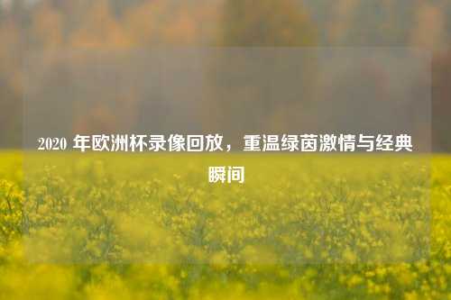 2020 年欧洲杯录像回放,重温绿茵***与经典瞬间