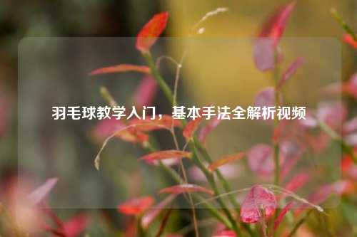 羽毛球教学入门,基本手法全解析视频