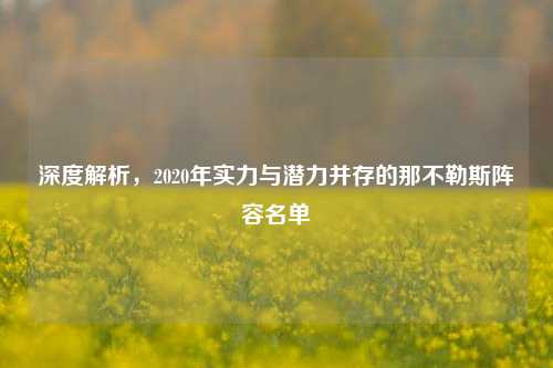 深度解析,2020年实力与潜力并存的那不勒斯阵容名单
