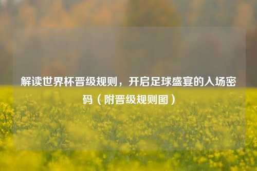 解读世界杯晋级规则,开启足球盛宴的入场密码(附晋级规则图)