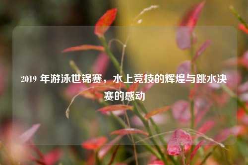 2019 年游泳世锦赛,水上竞技的辉煌与跳水决赛的感动