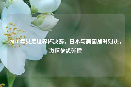2011 年女足世界杯决赛,日本与美国加时对决,***梦想碰撞
